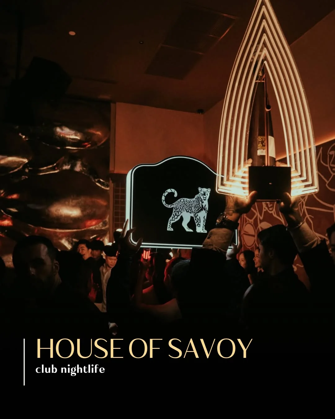 House of Savoy Club Nightlife