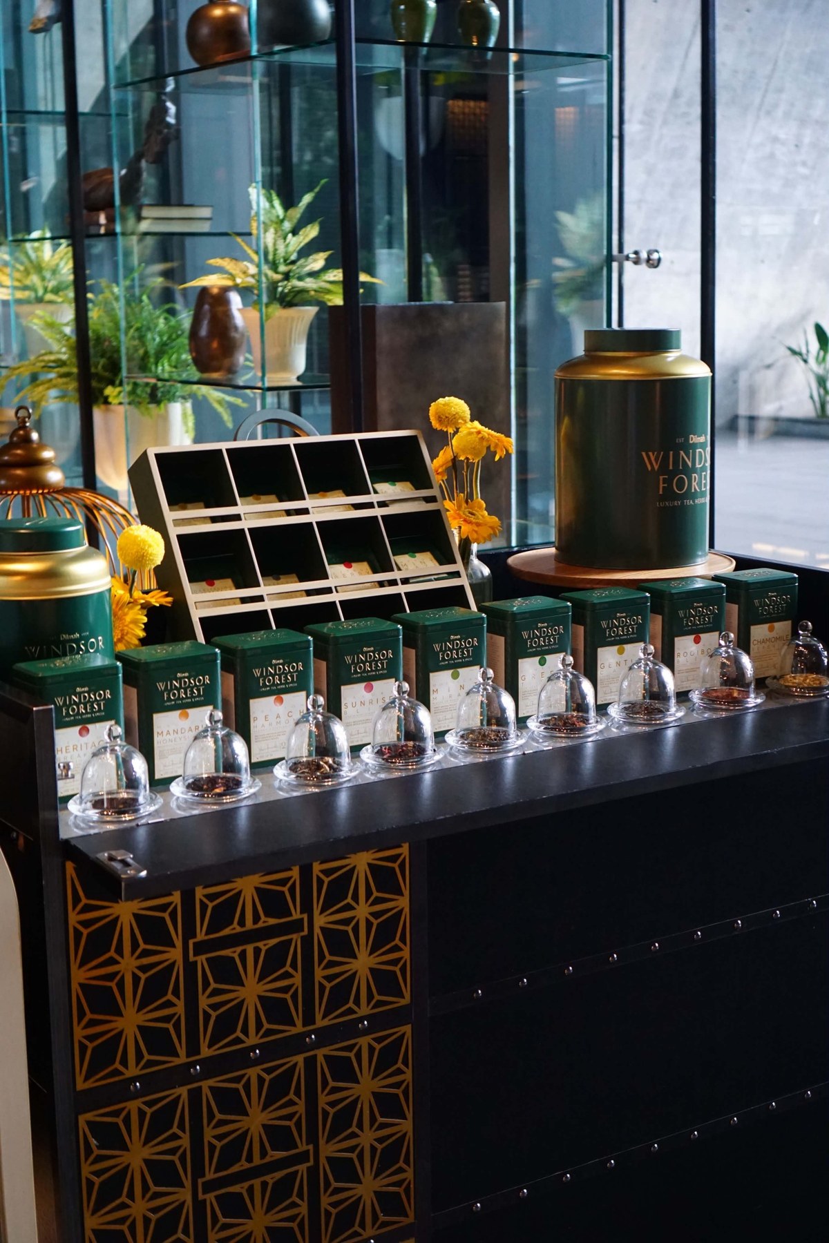 จุดเลือกชา Windsor Forest สำหรับ Premium Tea Free Flow