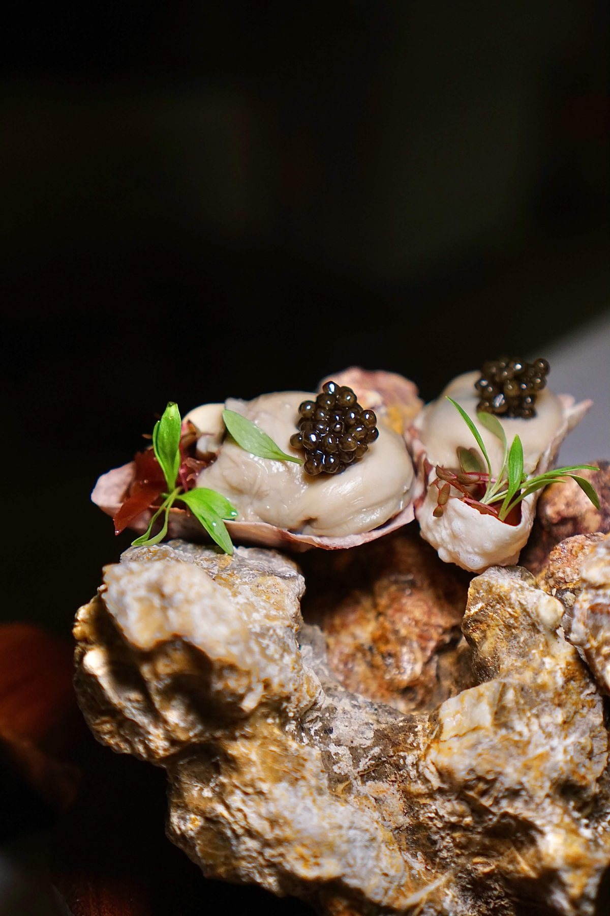 Monsoon Season Tasting Menu at Wisetwiso Bangkok